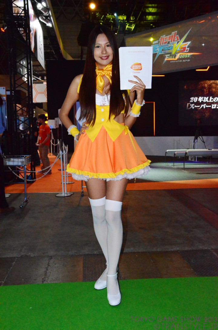 tgs2013-03