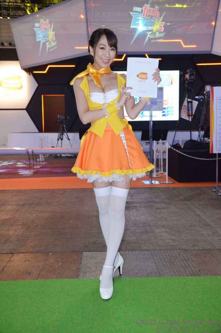 tgs2013-04