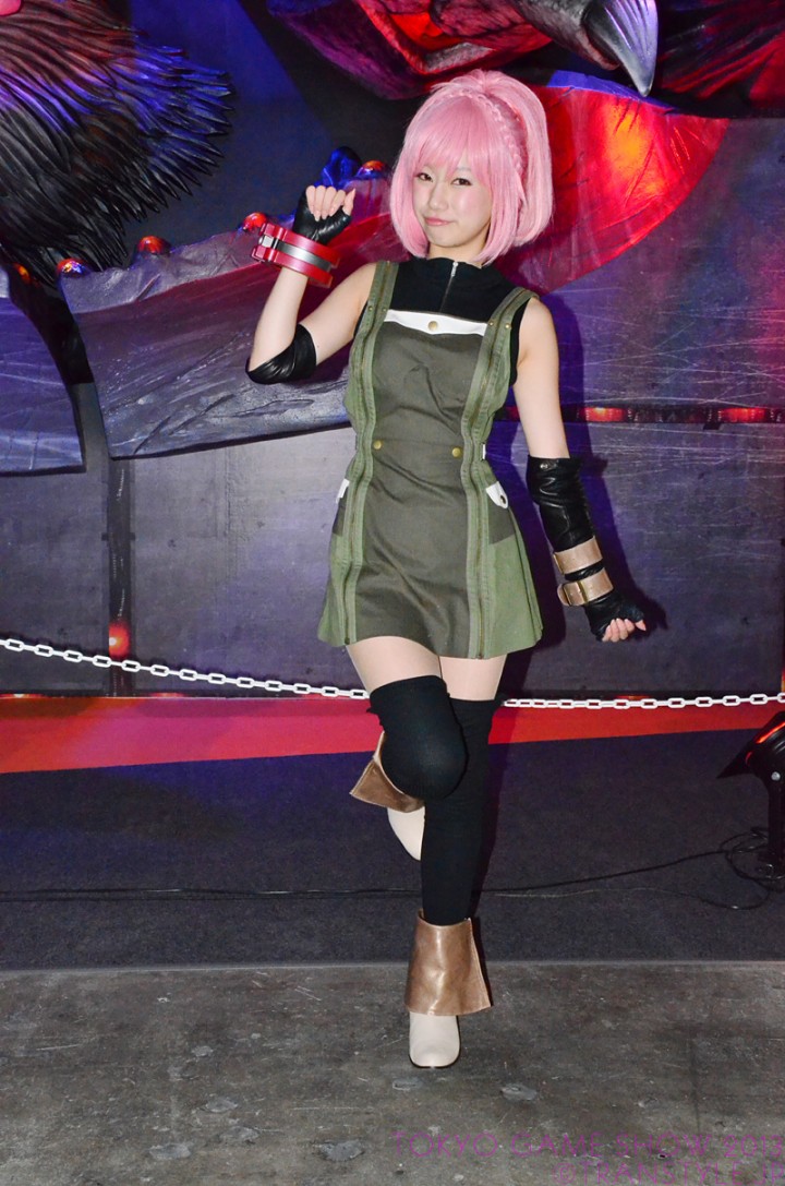 tgs2013-147