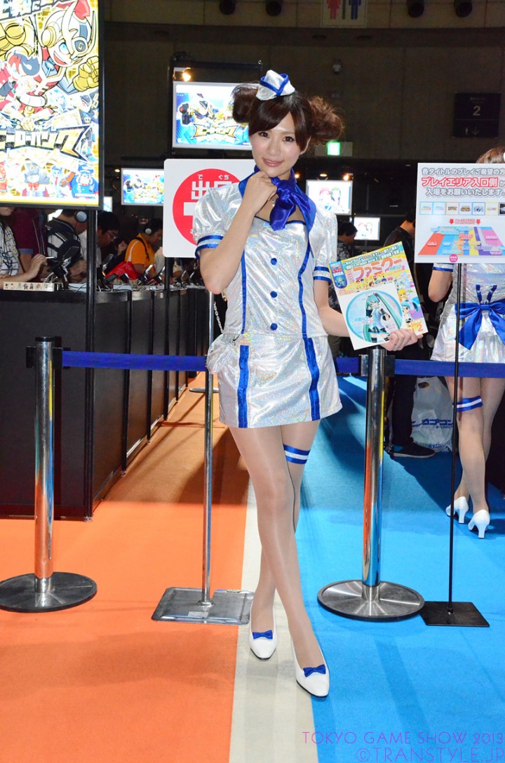 tgs2013-33