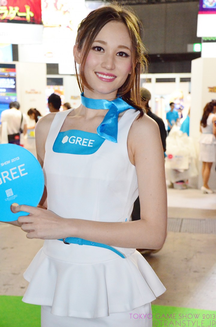 tgs2013-43