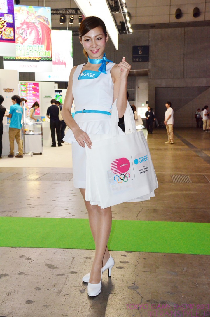 tgs2013-44